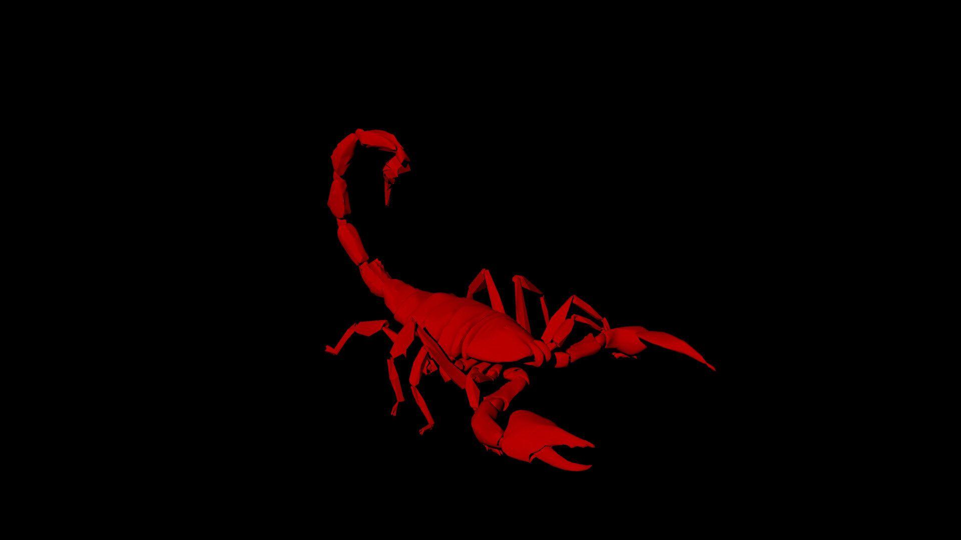 Scorpio Wallpapers - Top Free Scorpio Backgrounds - WallpaperAccess