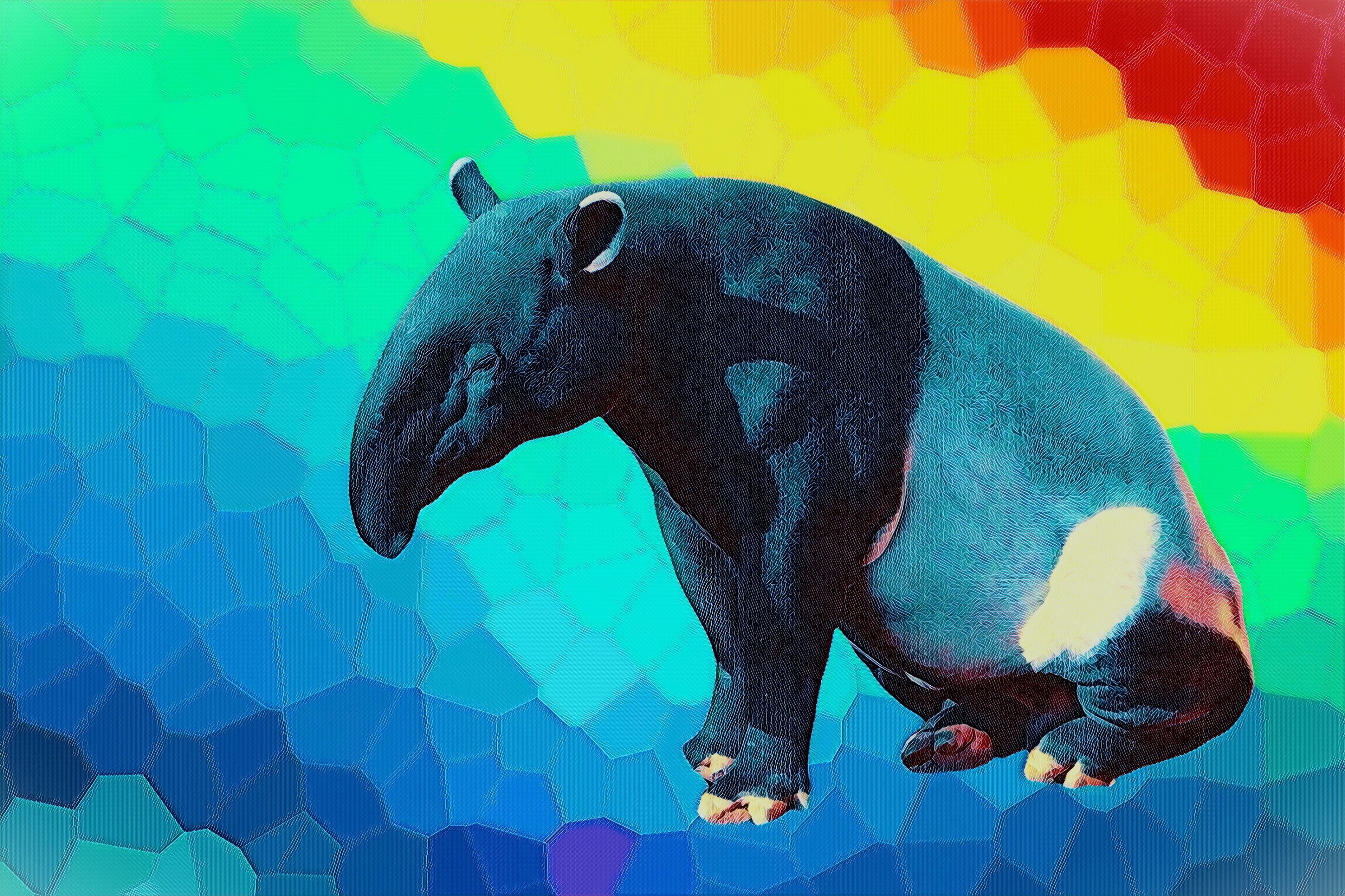 4243x2828 I made a rainbow tapir wallpaper, and thought I'd share. It's to remind me that no matter how much the church continually tries to shame or hurt me for leaving and accepting