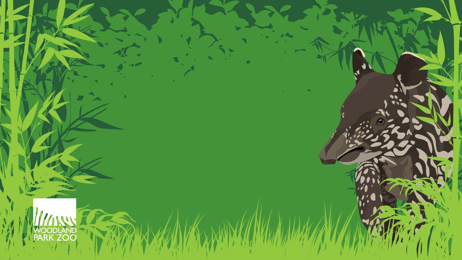 1920x1080 Download Tapir Art By Woodland Zoo Wallpaper