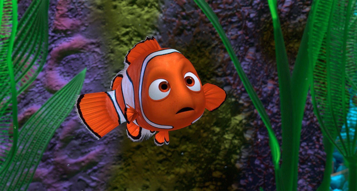Nemo Fish Wallpapers Top Free Nemo Fish Backgrounds WallpaperAccess 11142260