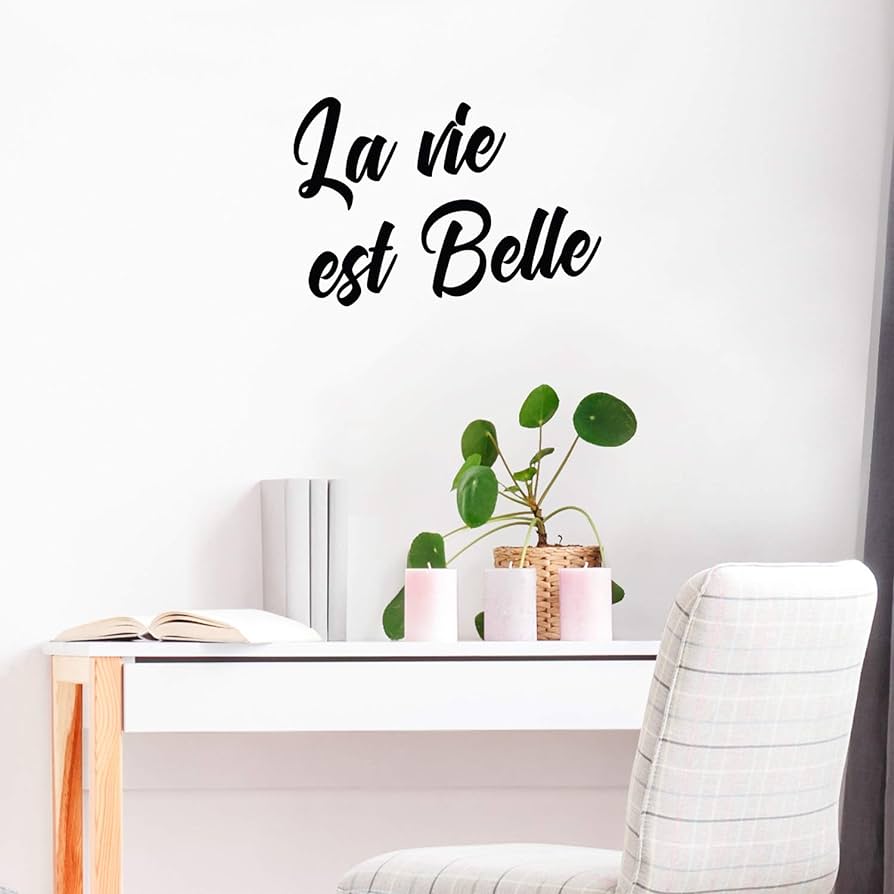 894x894 Vinyl Wall Art Decal Vie Est Belle x 23 is Beautiful Quote for Home Living Room Bedroom Sticker Decor Adults Peel and Stick