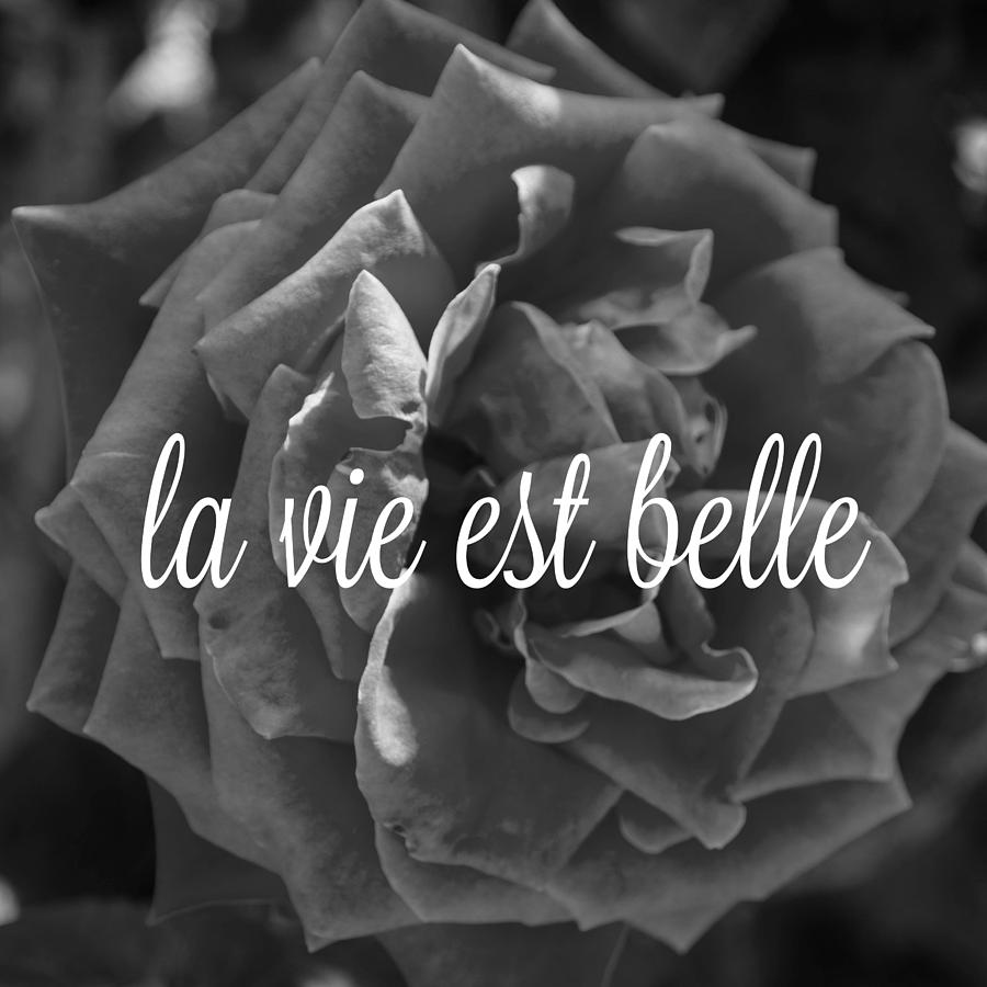900x900 La Vie Est Belle Inspirational Art Photograph