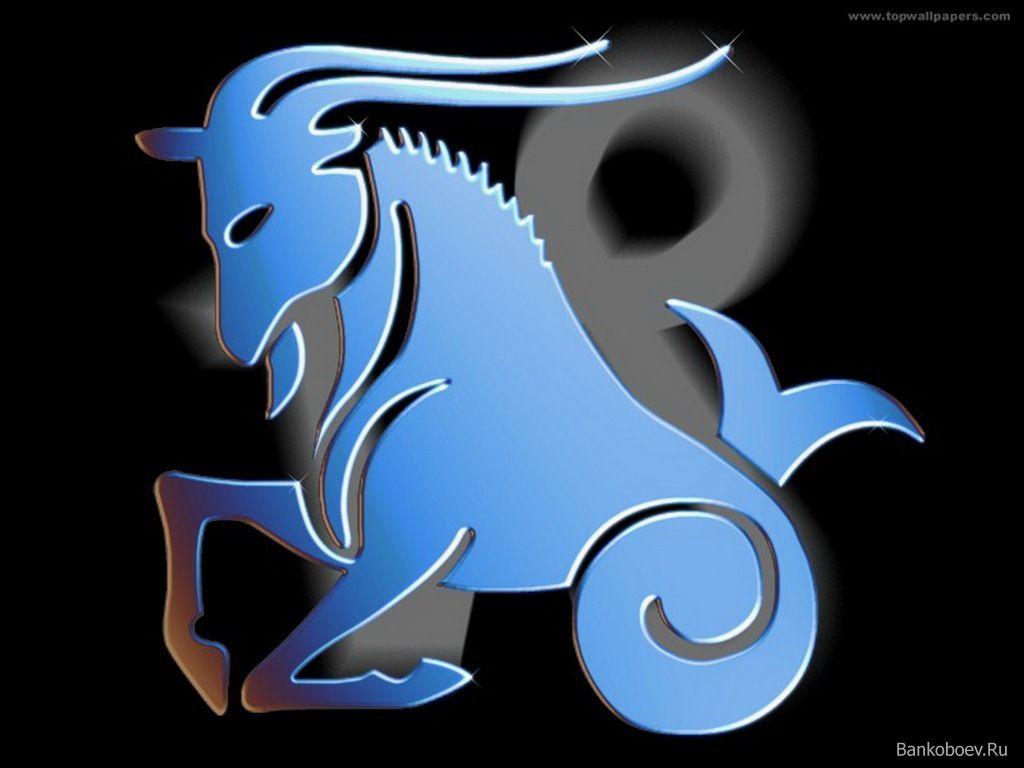 1024x768 Zodiac sign (Shirohige1939) Wallpaper