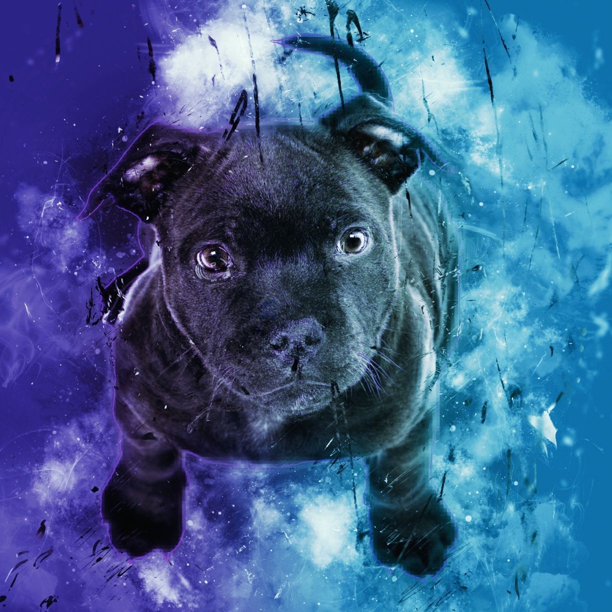 Dog Painting Wallpapers - Top Free Dog Painting Backgrounds