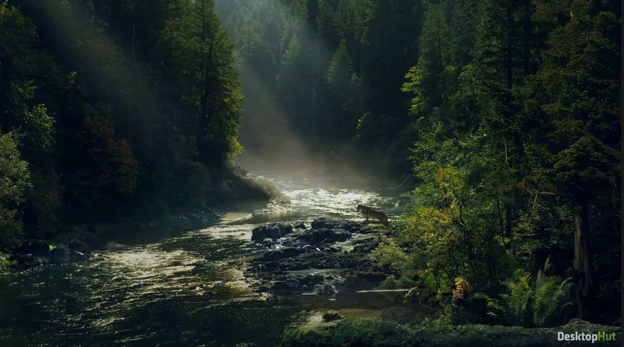 1284x715 Farcry 5 Jacob Seed Region HD Live Wallpaper Free