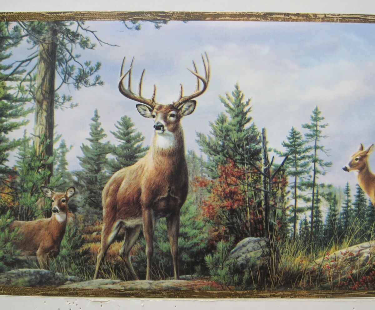 1200x993 DEER BUCK DOE in the WOODS HUNTING Wallpaper Border 8&;