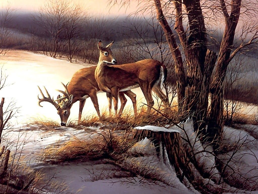 1024x768 two brown deer painting #animals #nature #deer Terry Redlin #painting #artwork #snow #winter P #wallpaper #hdwall. Deer wallpaper, Terry redlin, Deer painting