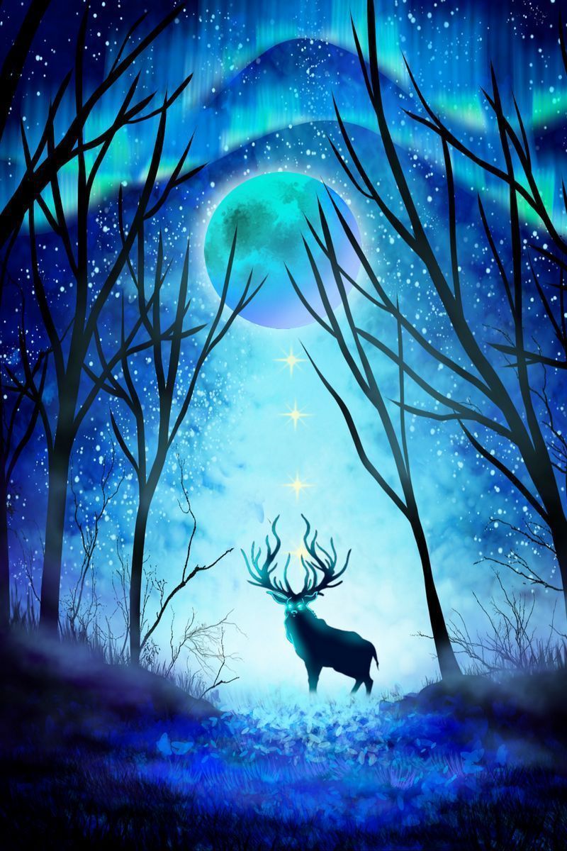 800x1200 Download Wallpaper 800x1200 Deer, Forest, Night, Moon, Northern Lights, Art Iphone 4s 4 For Parallax HD Background