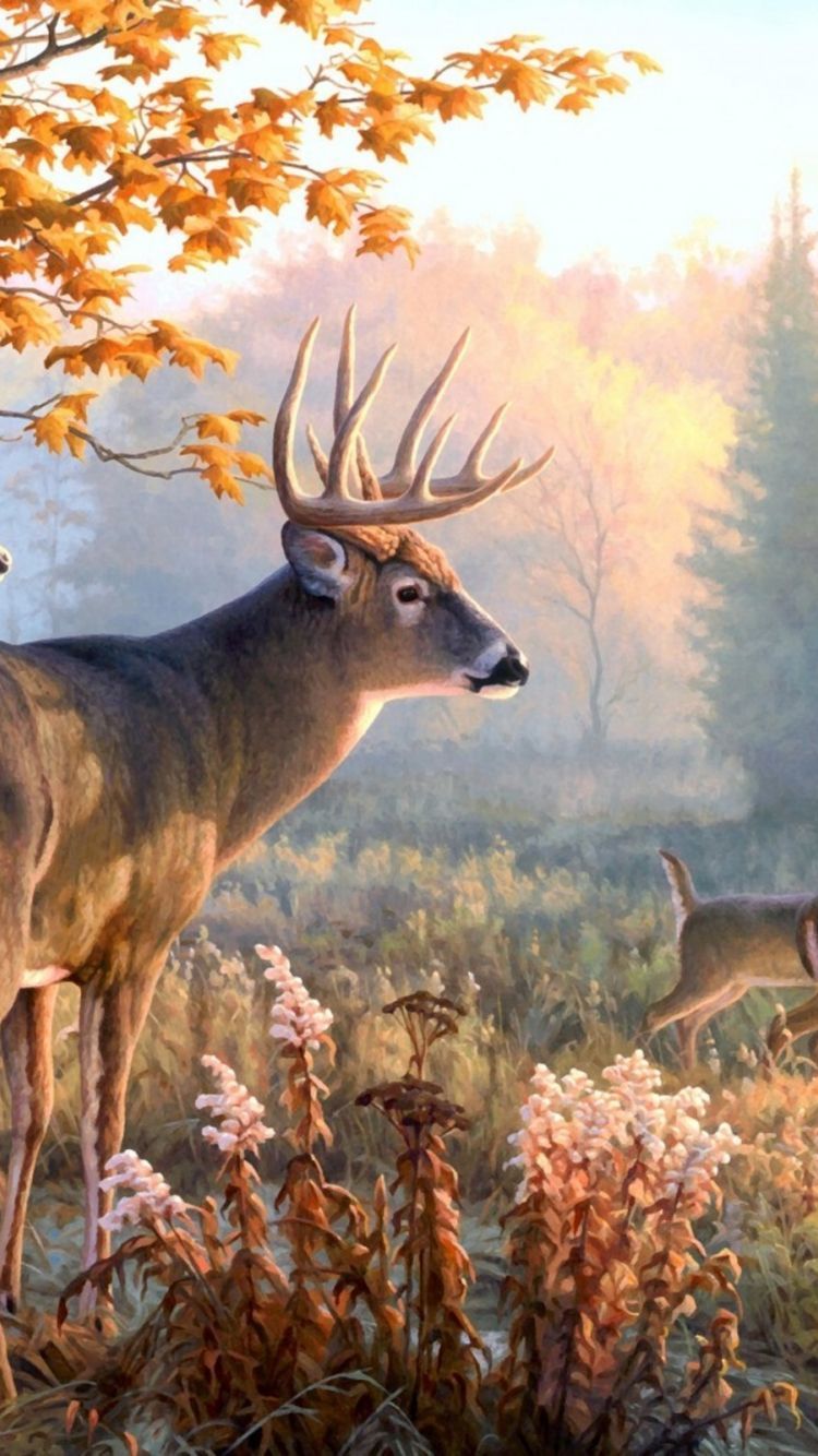 750x1334 Deer Art Wallpaper