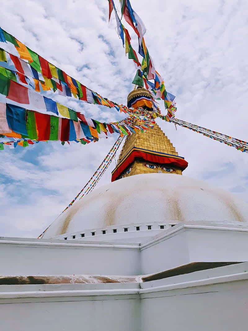 800x1067 Download Boudhanath Stupa Portrait Side Angle Shot Wallpaper