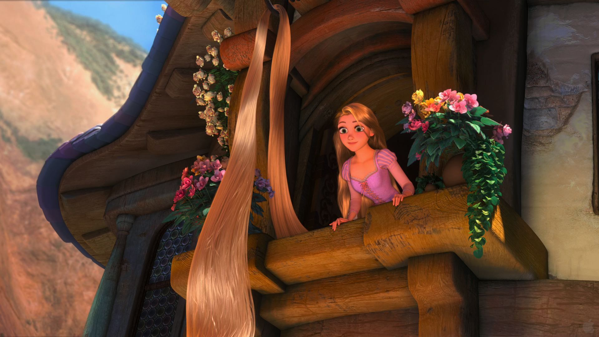 1920x1080 Rapunzel's Tower Window Desktop Wallpaper
