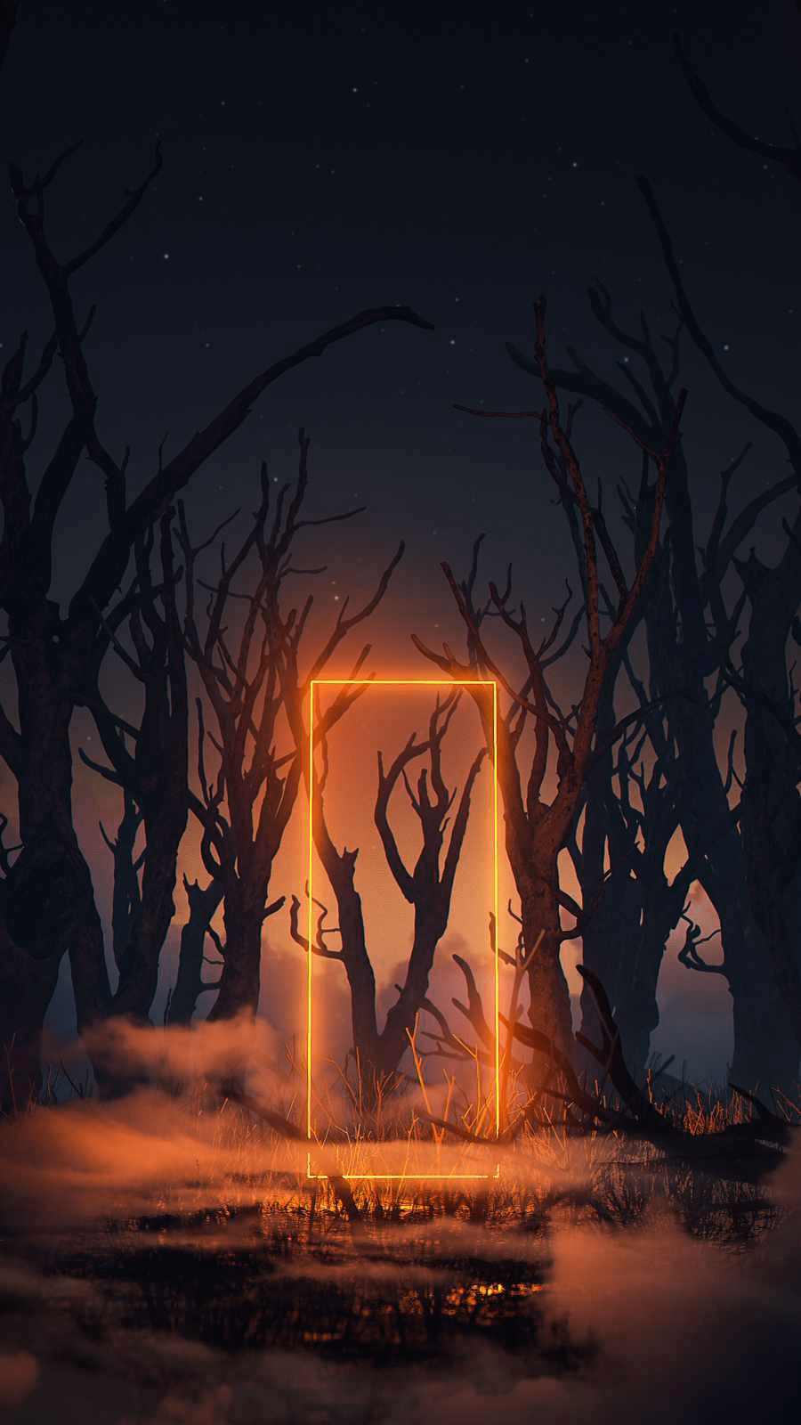 900x1600 Neon Forest Night iPhone Wallpaper Wallpaper. Neon wallpaper, Qhd wallpaper, Neon light wallpaper