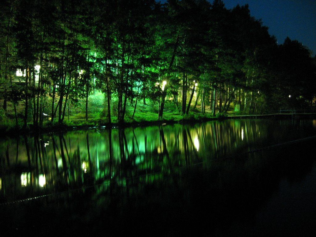 1024x768 Neon forest. Natural landmarks, Neon, Forest