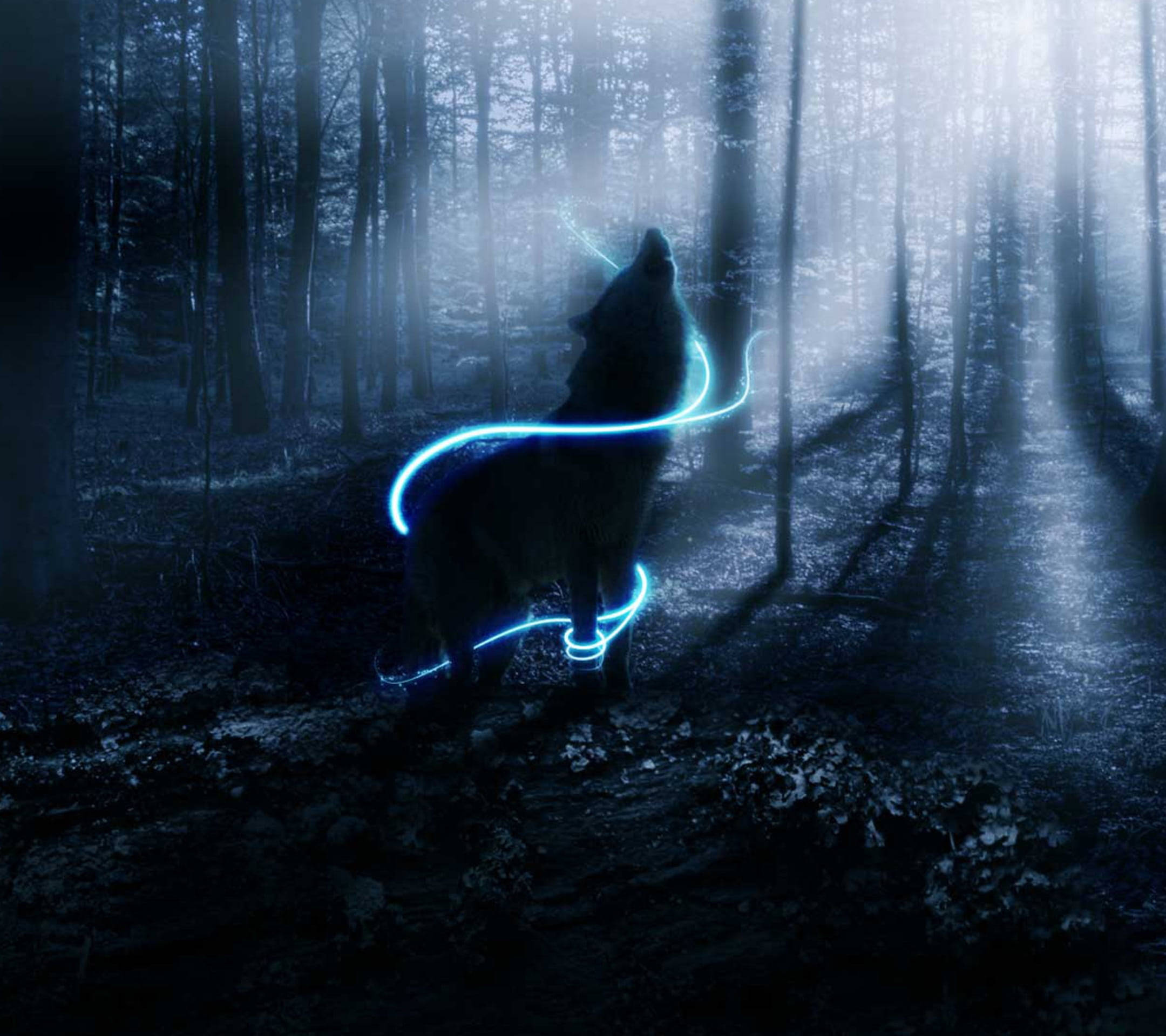 2160x1920 Download Neon Blue Anime Wolf in Ethereal Forest Wallpaper