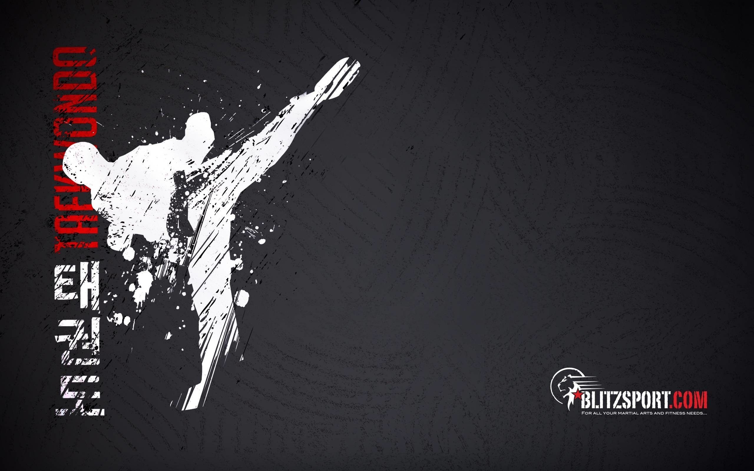 2560x1600 Kung Fu Wallpaper