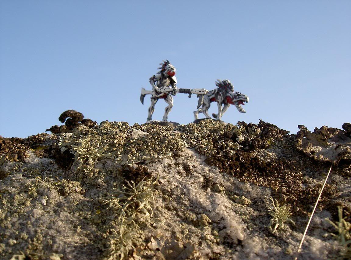 1152x852 Warhammer 40k Forum Tau Online Single Post wallpaper!+
