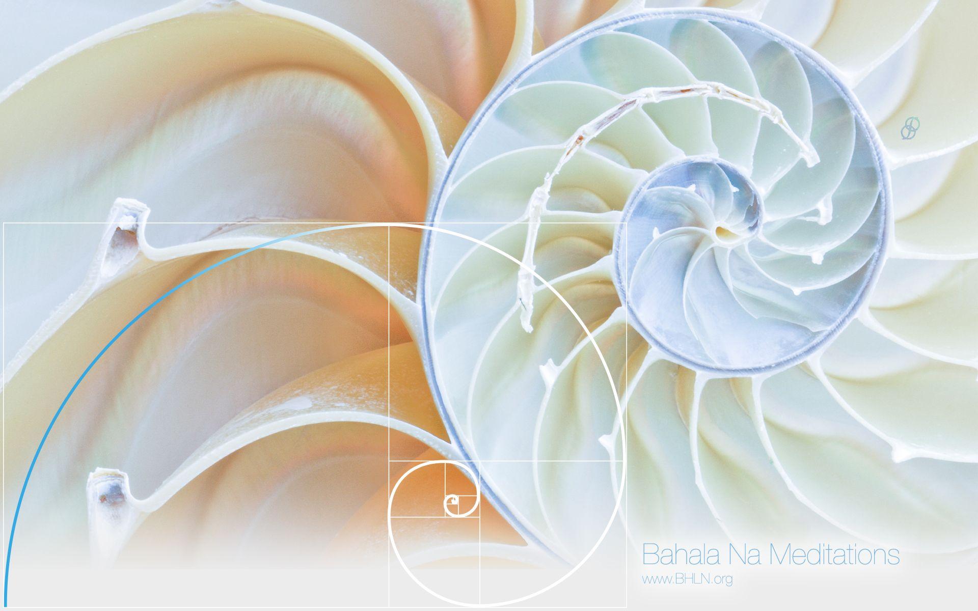 1920x1200 Golden ratio wallpaper Gallery