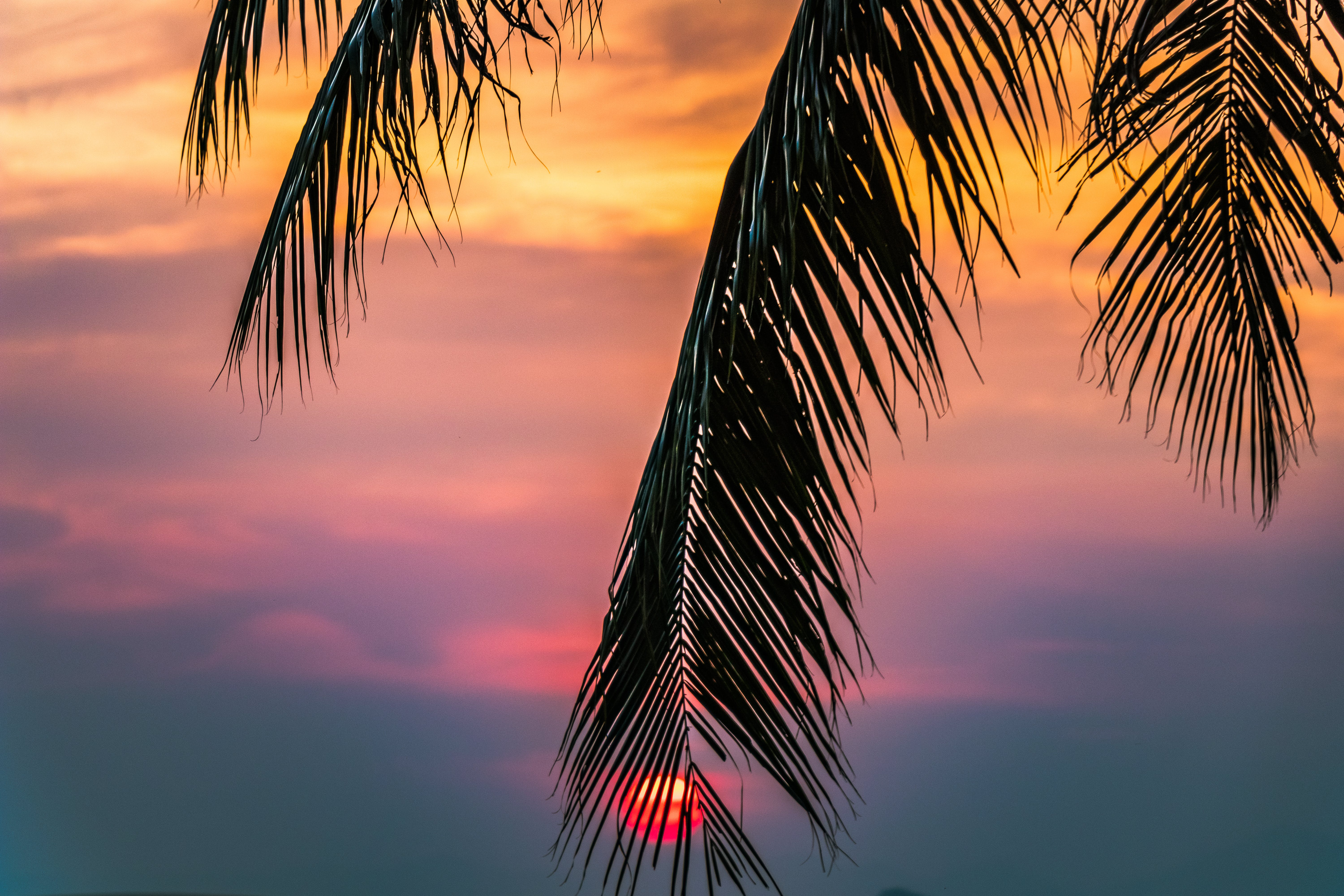 6000x4000 Beautiful View Photo, Download The BEST Free Beautiful View & HD Image
