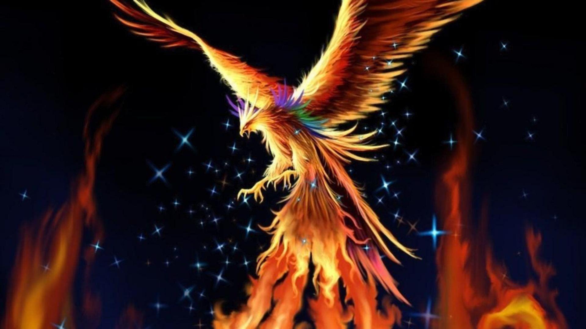 Phoenix Bird  Dark Wings Wallpaper Download  MobCup