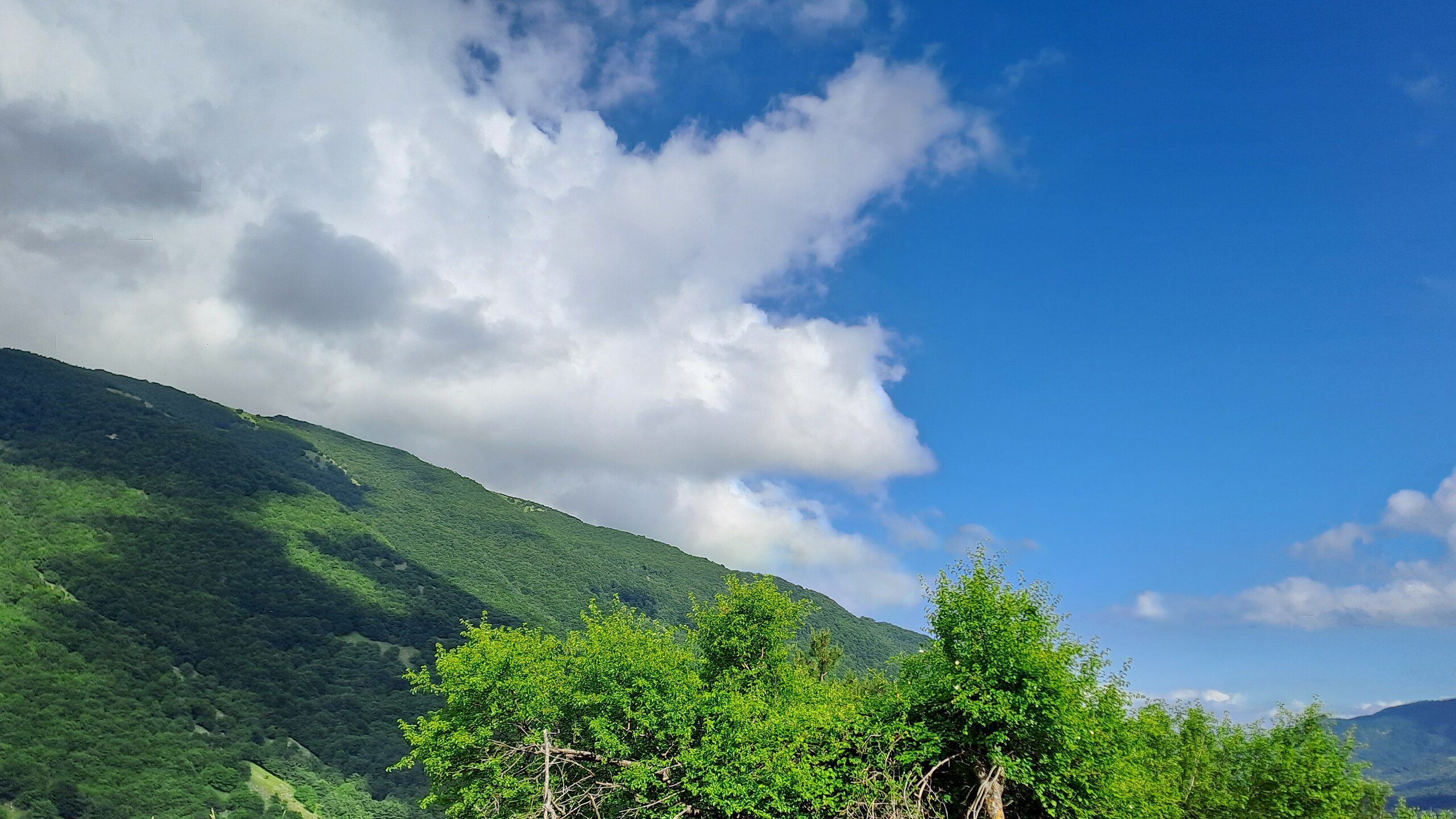 2560x1440 Panorama in