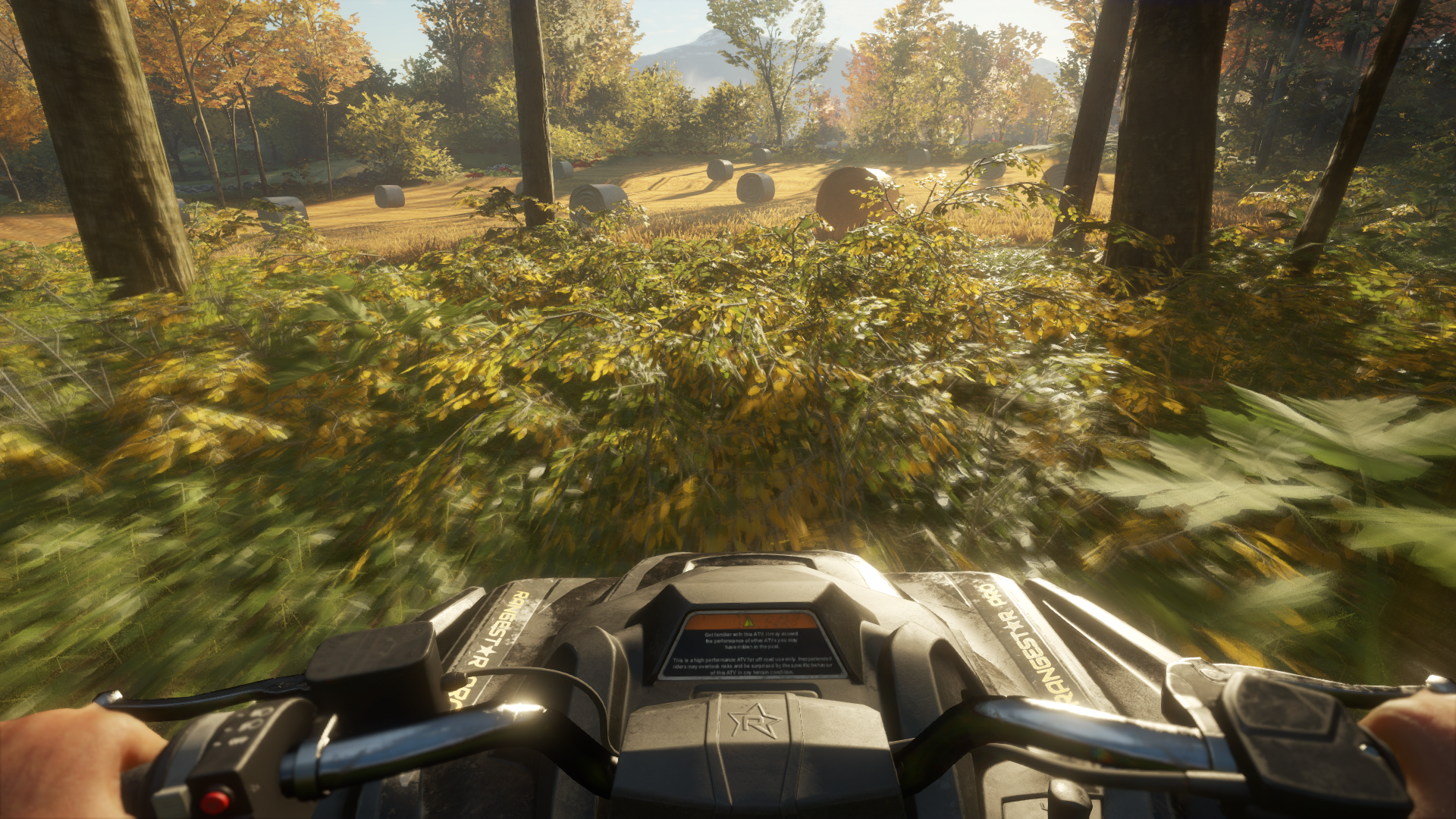 1920x1080 The Hunter of the Wild. THQ Nordic GmbH