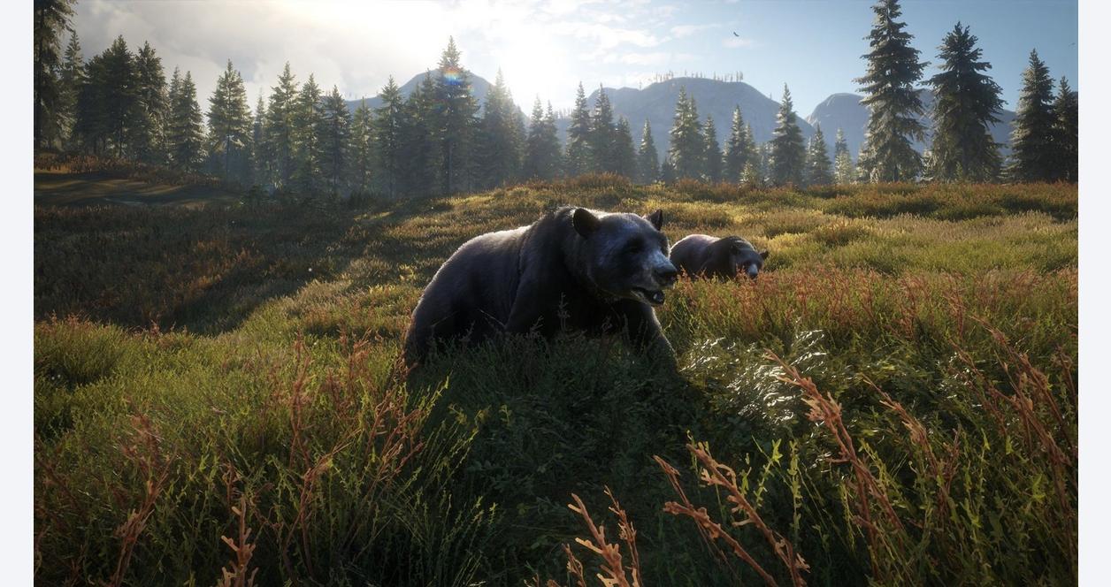 1256x664 Hunter: Call of the Wild