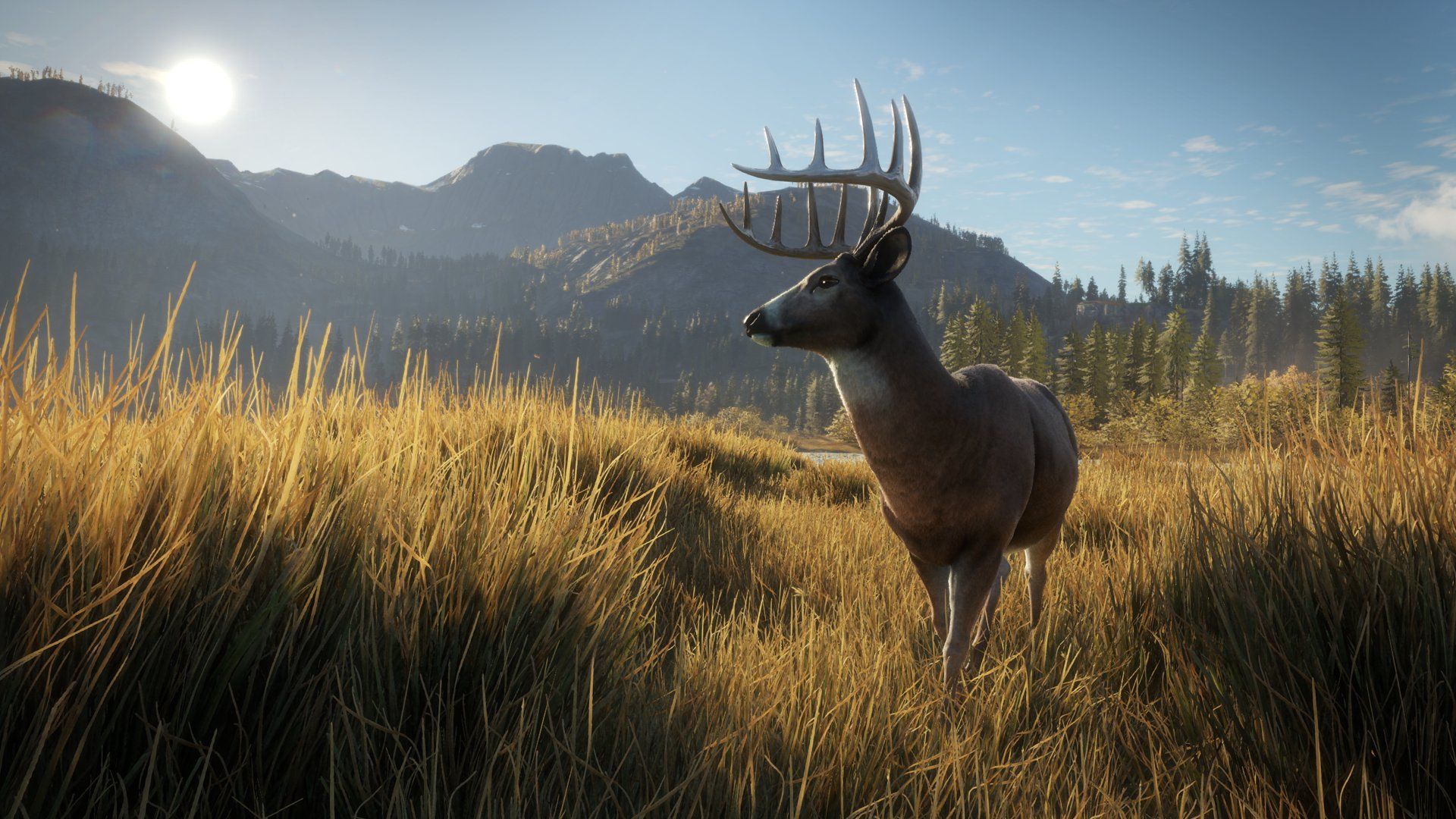 1920x1080 theHunter: Call of the Wild 4 : Thq Nordic: Everything Else