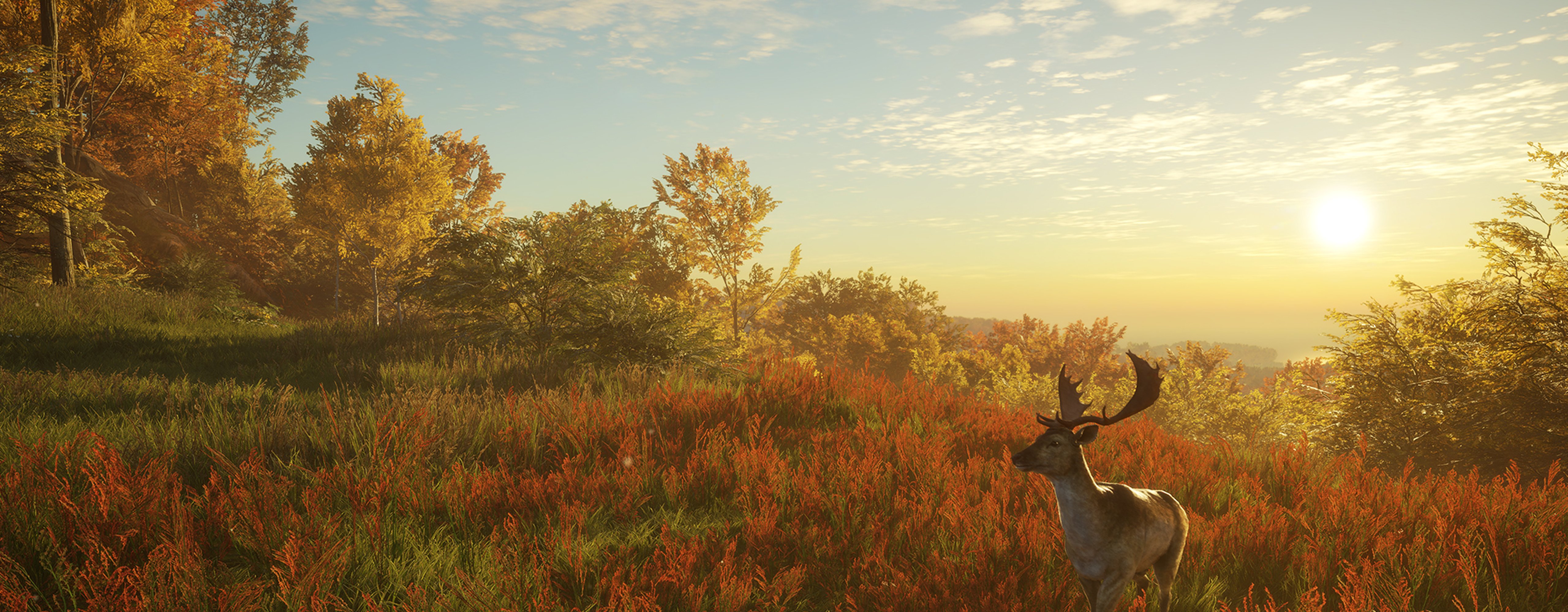 The Hunter Call of the Wild Wallpapers Top Free The Hunter Call of