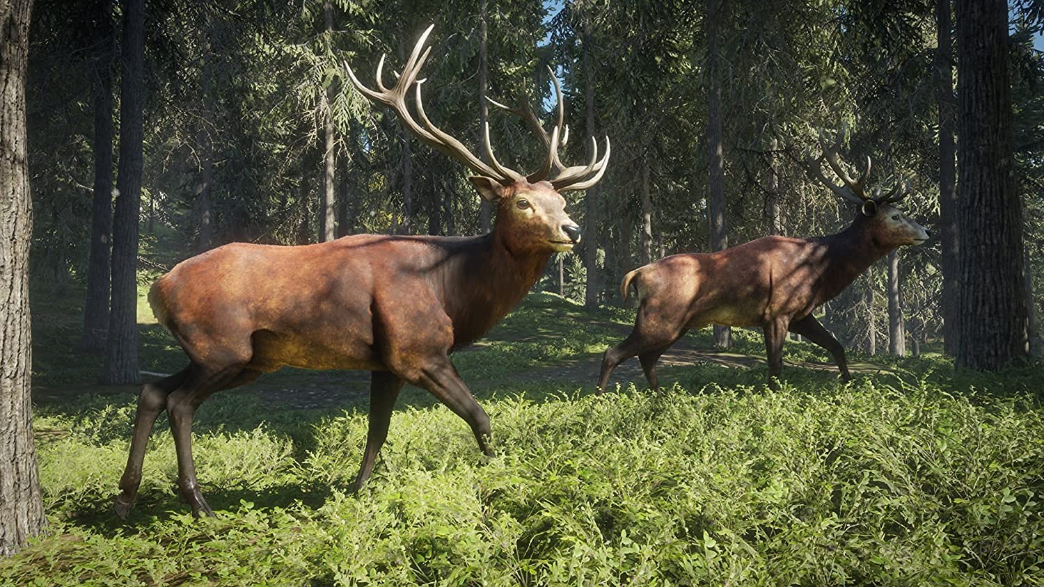 1500x844 The Hunter Call Of The Wild Game Of The Year Edition (PC) : Video Games