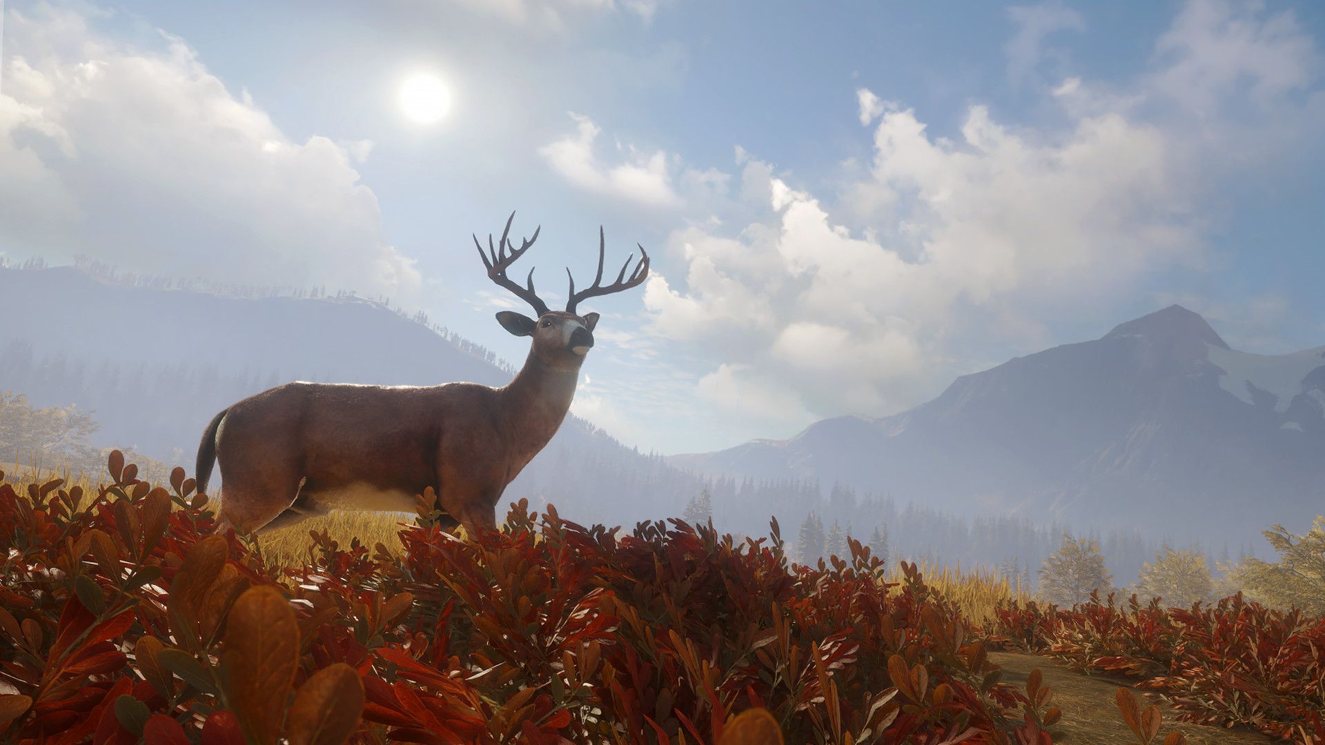 1920x1080 theHunter: Call of the Wild™ on Steam