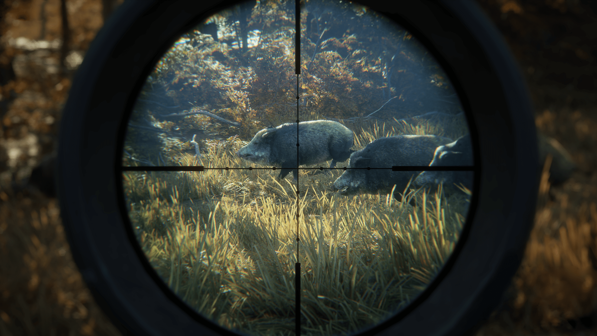 1920x1080 THQ theHunter: Call Of the Wild (PS4)