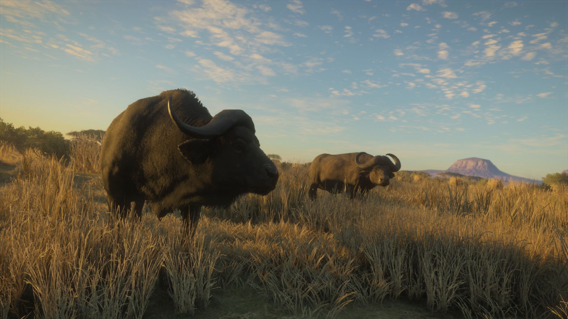1920x1080 theHunter Call of the Wild 2019 Edition Is Packed With Previous DLC