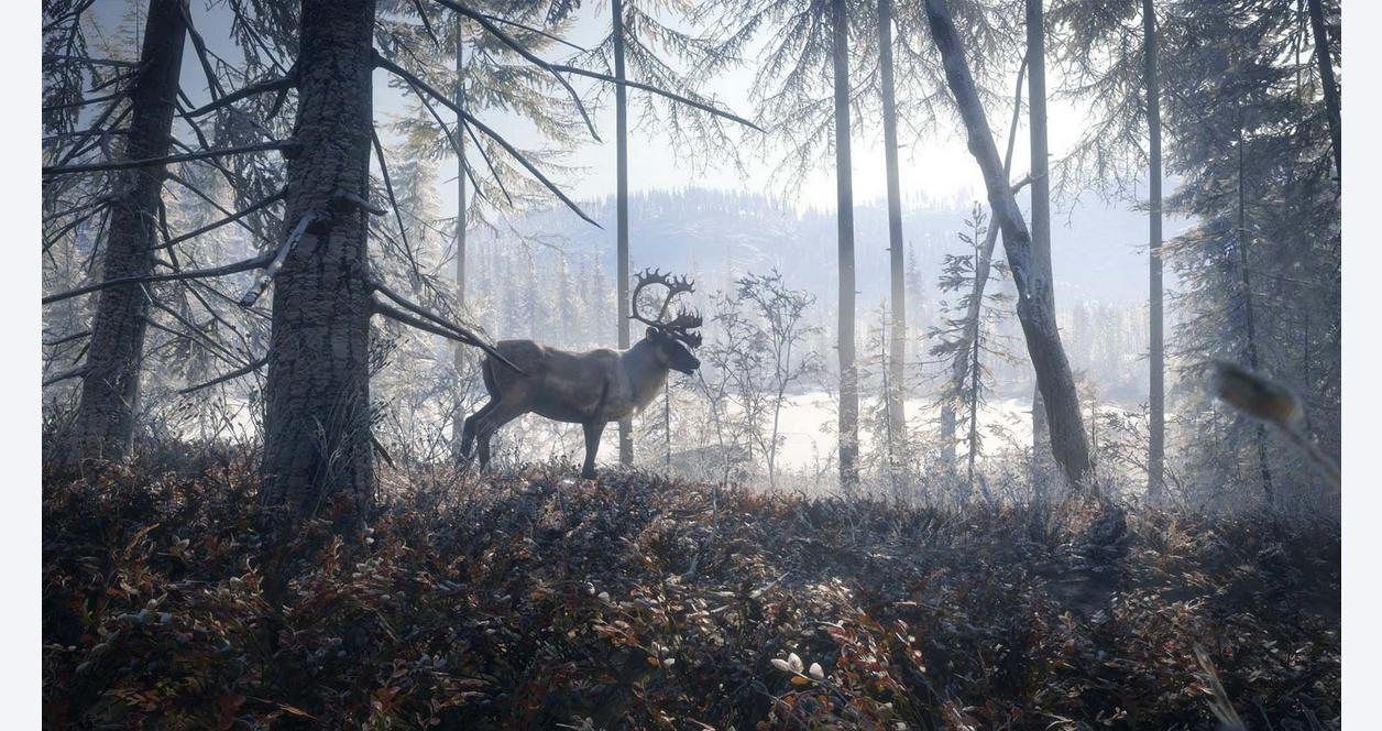 1256x664 The Hunter: Call of the Wild 2019 Edition 4