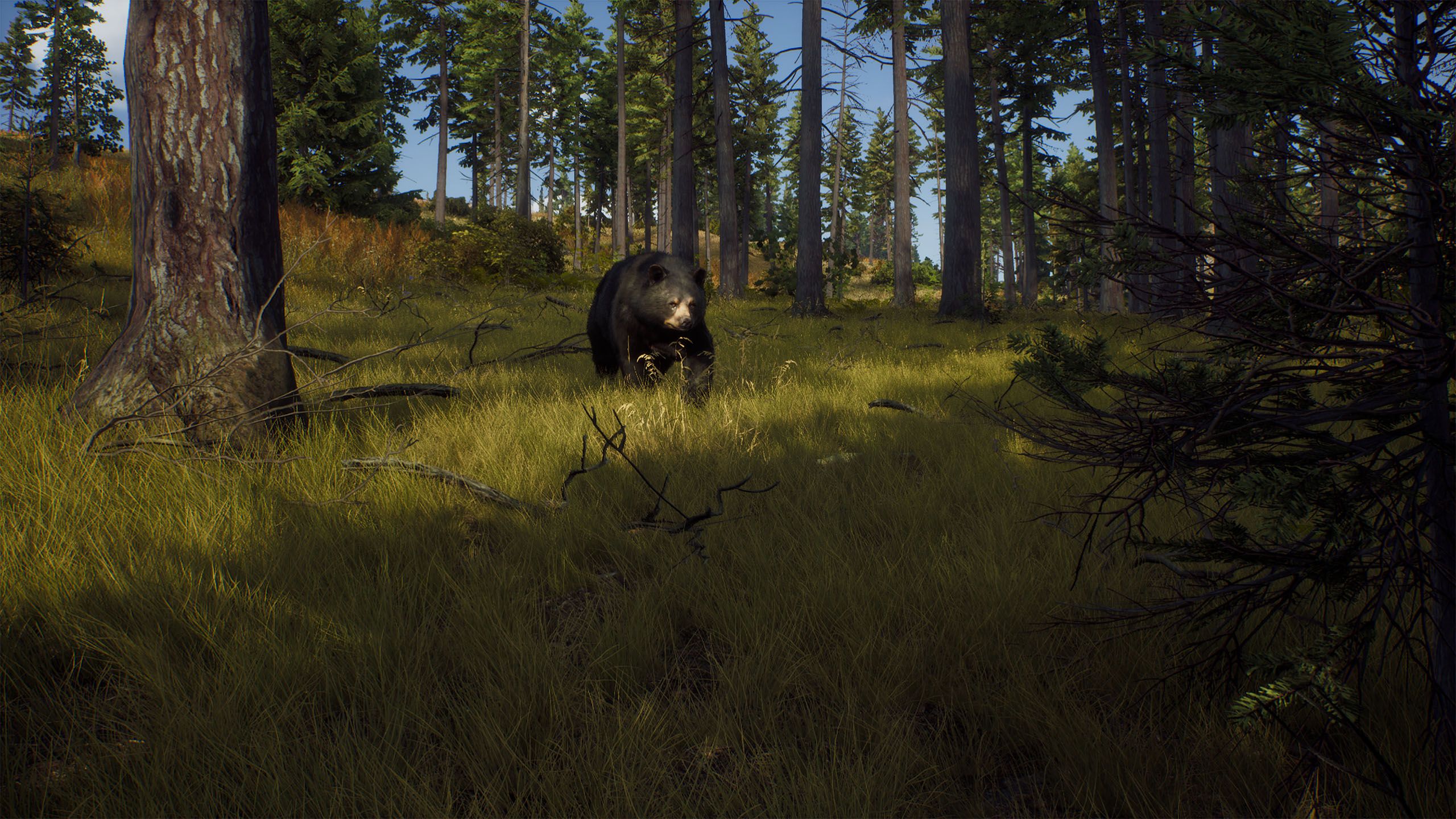 2560x1440 Way of the Hunter revealed by THQ Nordic & Nine Rock Games