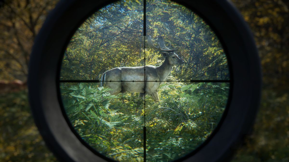 1200x675 The Hunter: Call of the Wild review