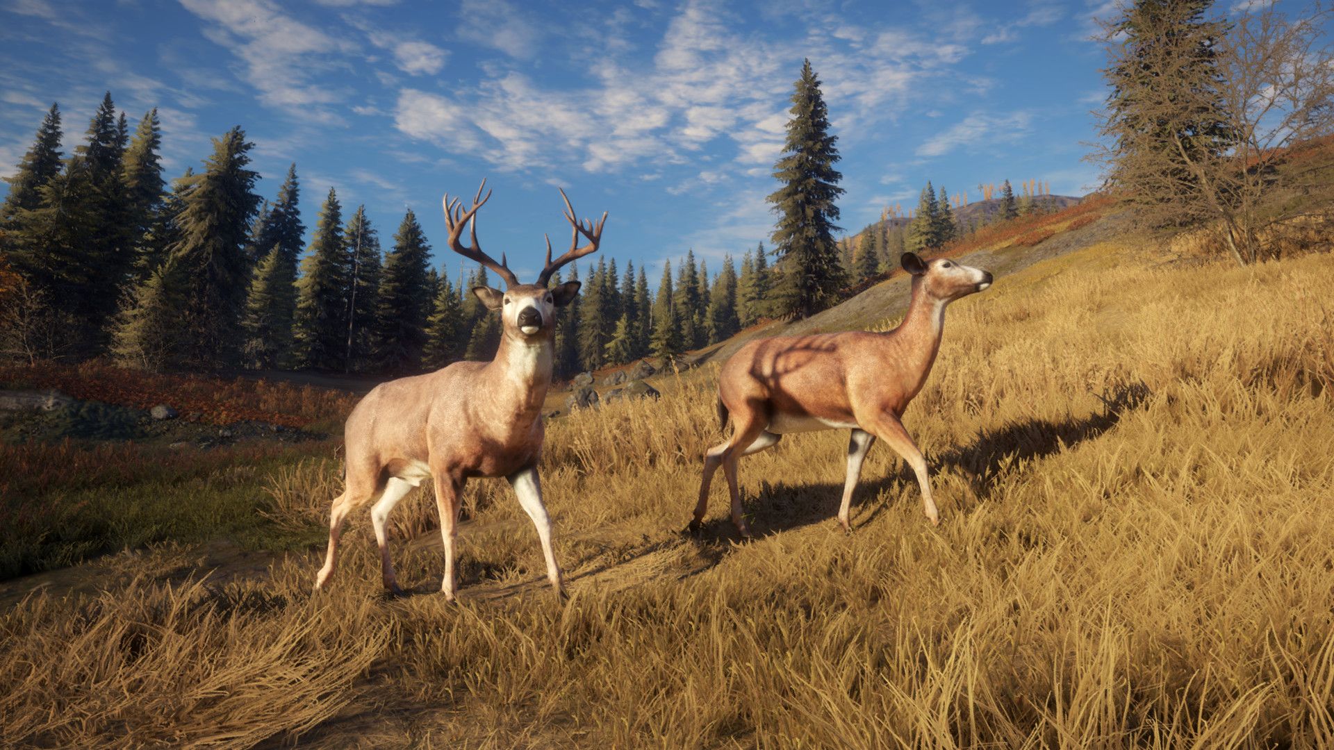 1920x1080 theHunter: Call of the Wild™ on Steam