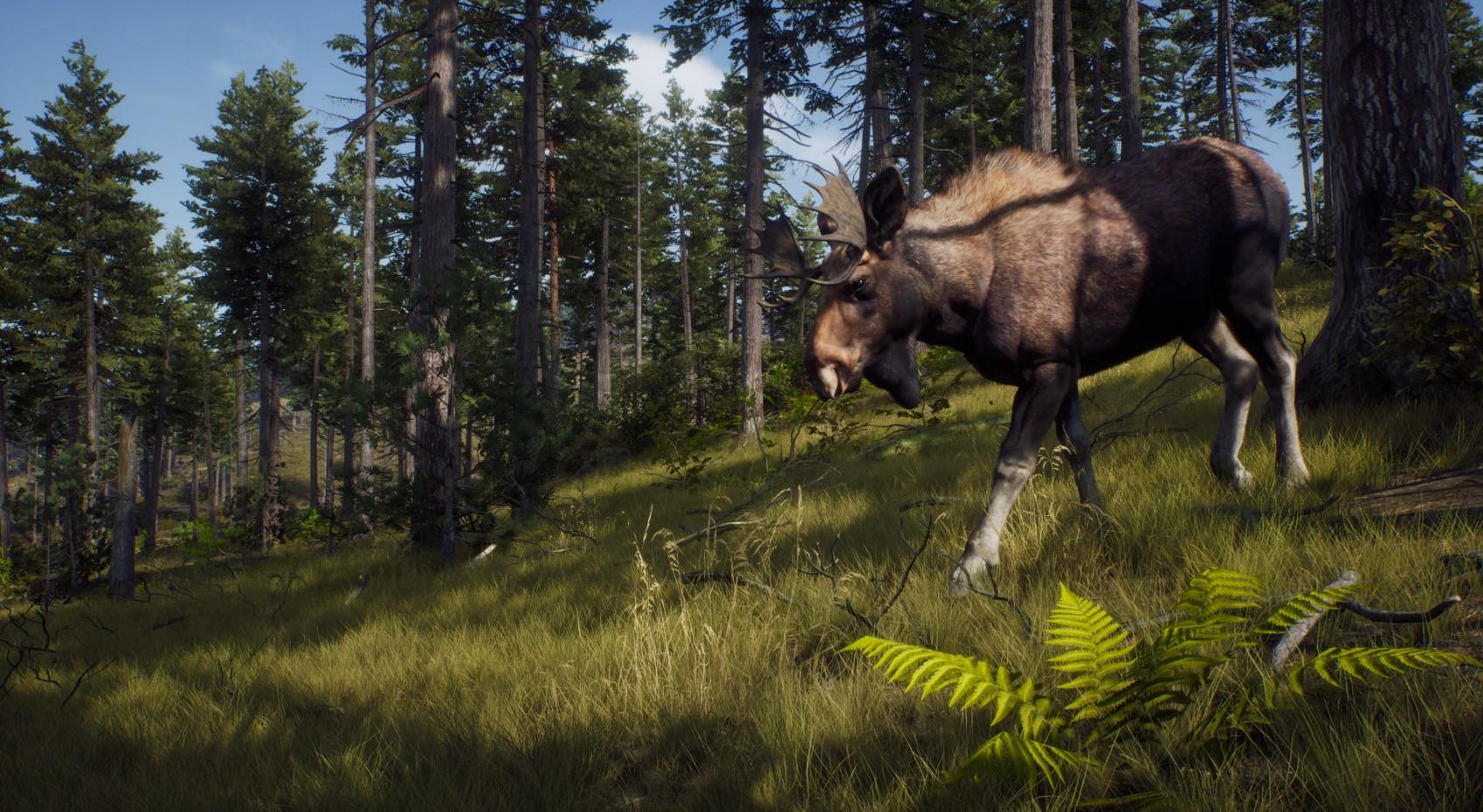 1698x930 Way of the Hunter Review