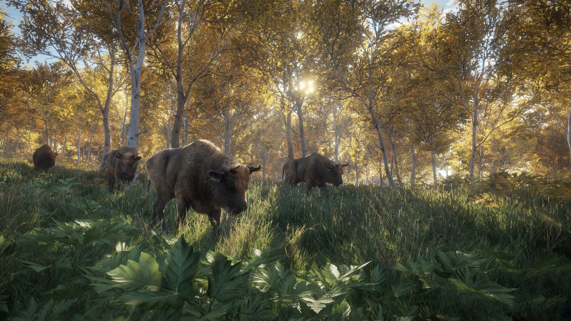 1920x1080 theHunter: Call of the Wild : Video Games