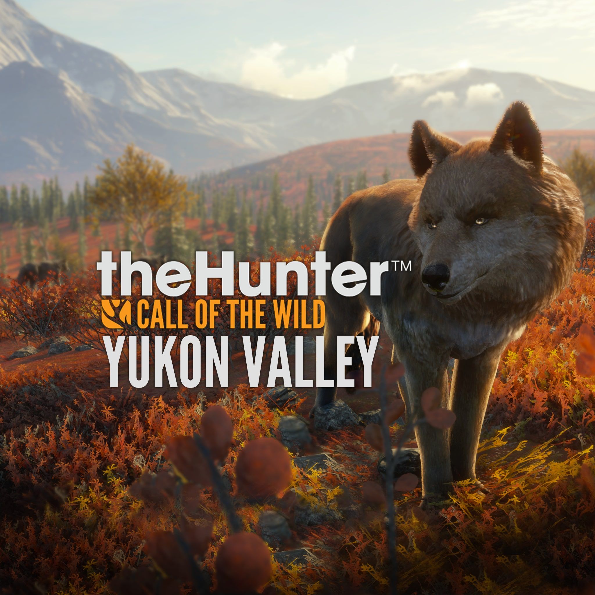 2048x2048 theHunter: Call of the Wild™