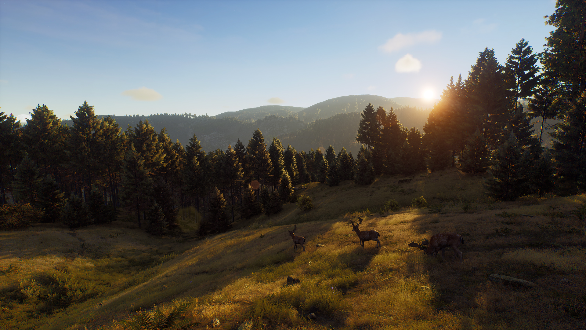 1920x1080 Way of the Hunter