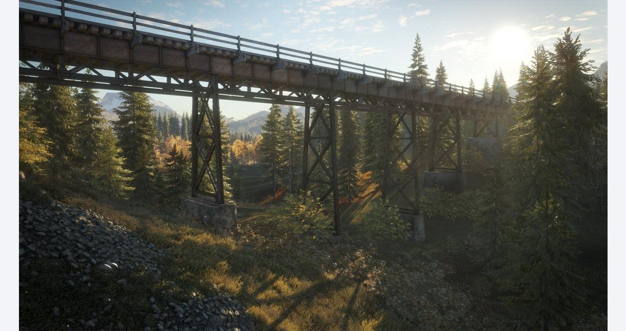 1256x664 Hunter: Call of the Wild