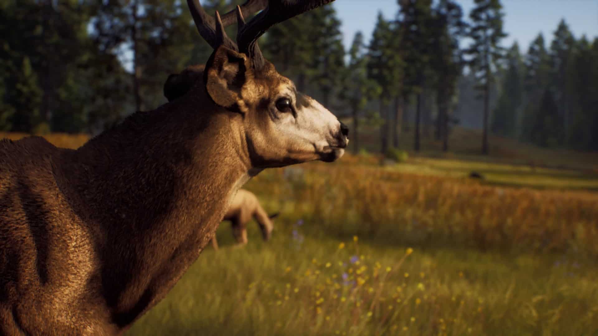 1920x1080 Way Of The Hunter Review (PS5) Hunting Sim Almost Shoots Itself in the Foot