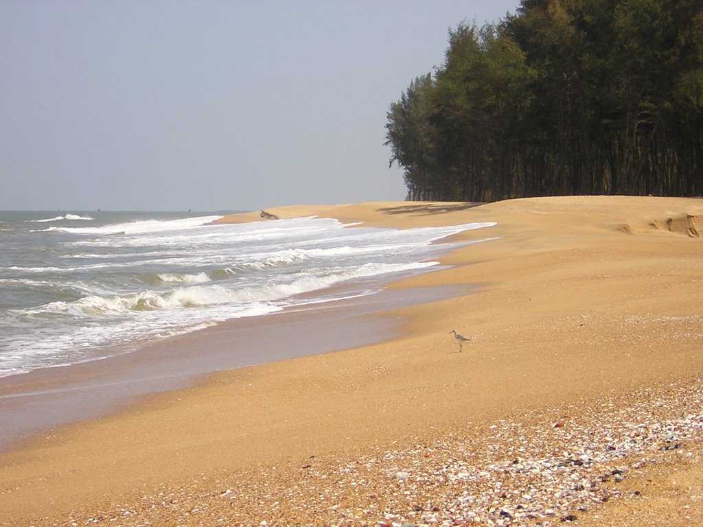 1024x768 Mangalore Image Original Photo & Gallery of Mangalore, Karnataka