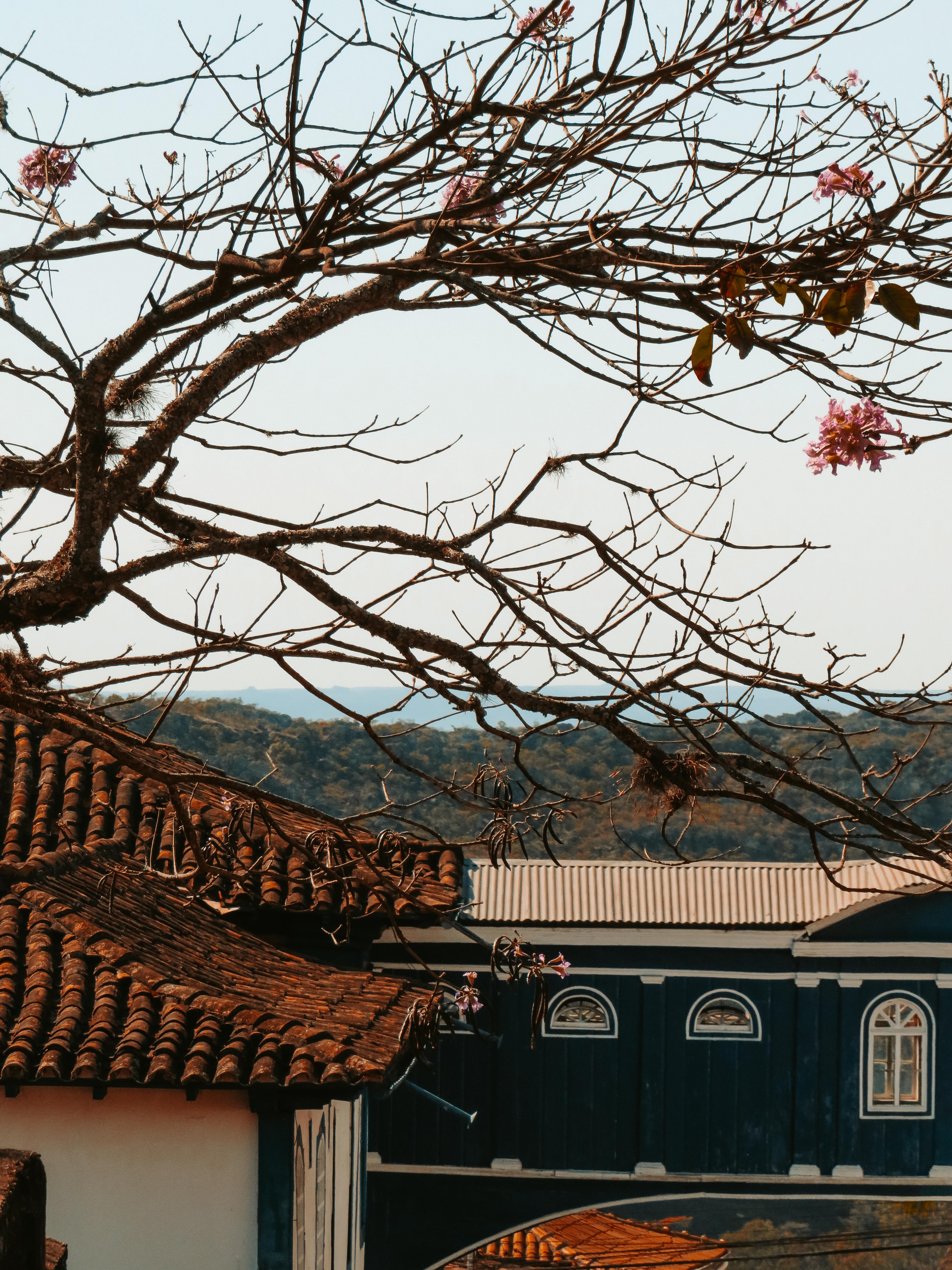 3888x5184 Korean Traditional Photo, Download The BEST Free Korean Traditional & HD Image