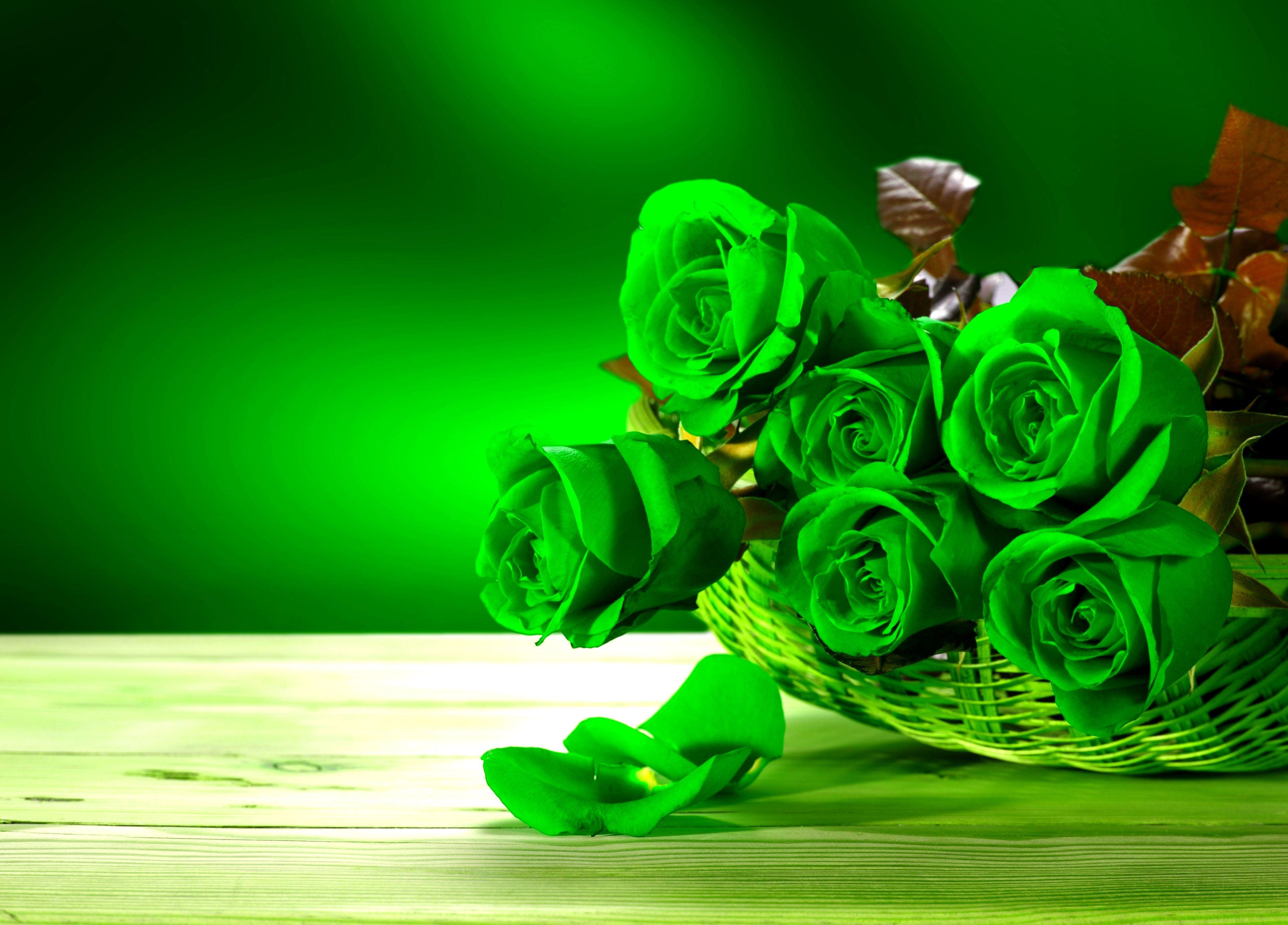 Green Roses Wallpapers - Top Free Green Roses Backgrounds - WallpaperAccess