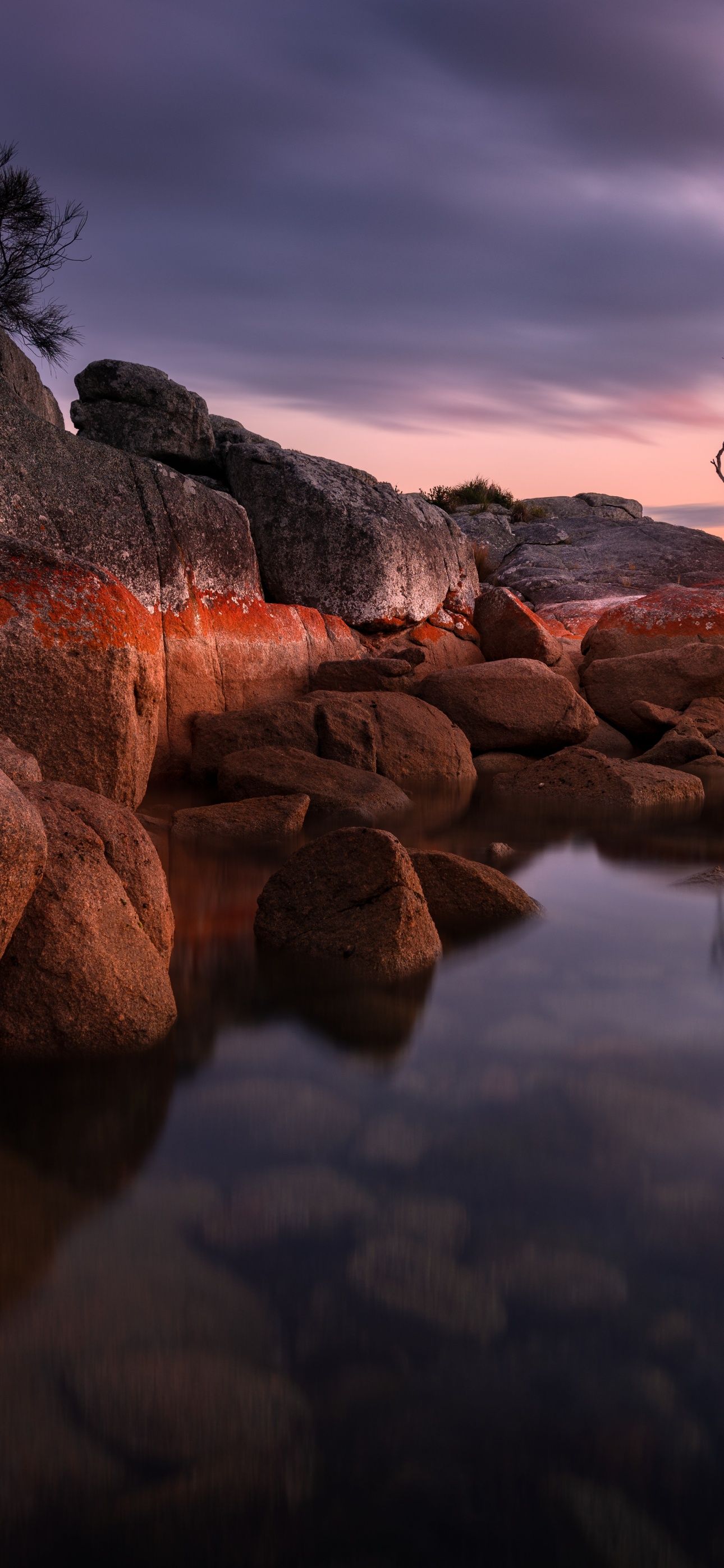 1290x2796 Binalong Bay Wallpaper 4K, Tasmania, Australia, Sunrise