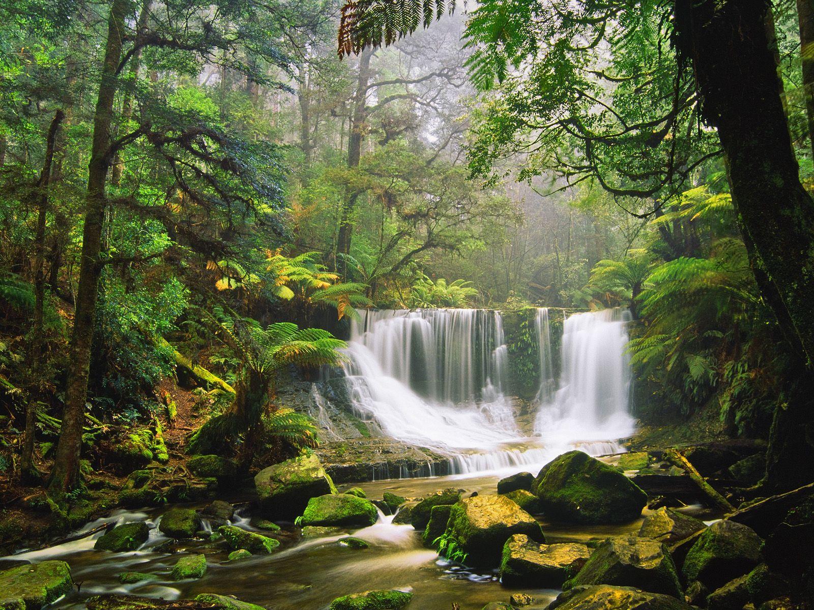 1600x1200 Australia Nature Wallpaper
