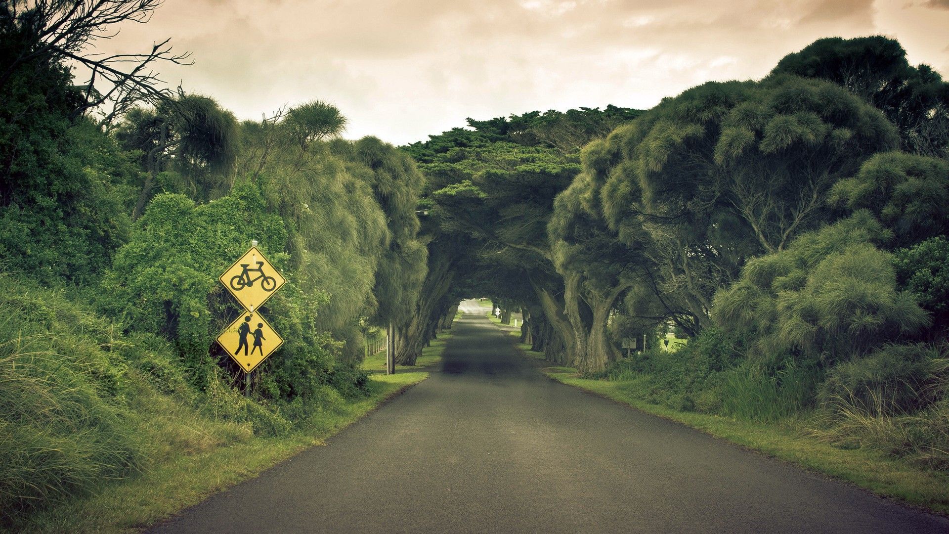 1920x1080 Download Australia wallpaper for mobile phone, free Australia HD picture