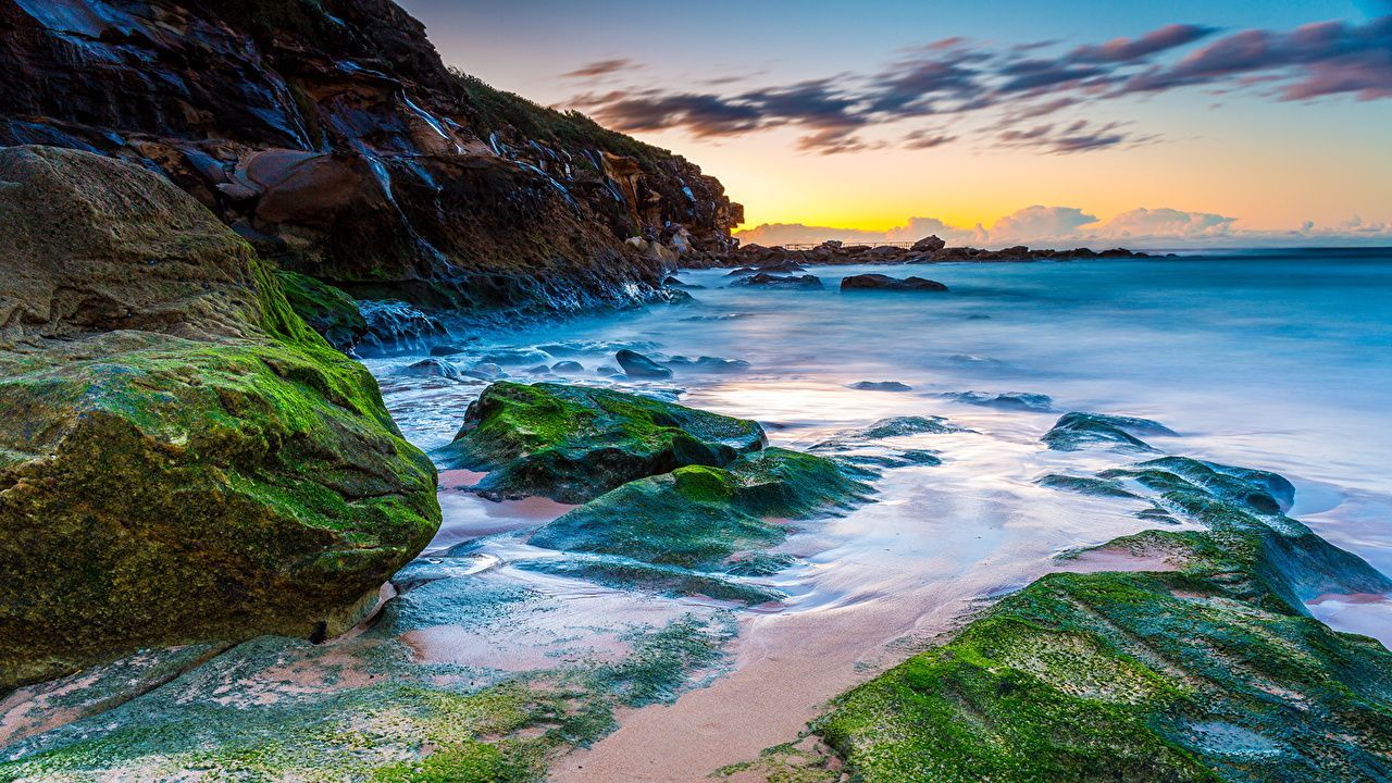 1280x720 Wallpaper Australia Curl Curl Beach Crag Nature Moss Coast