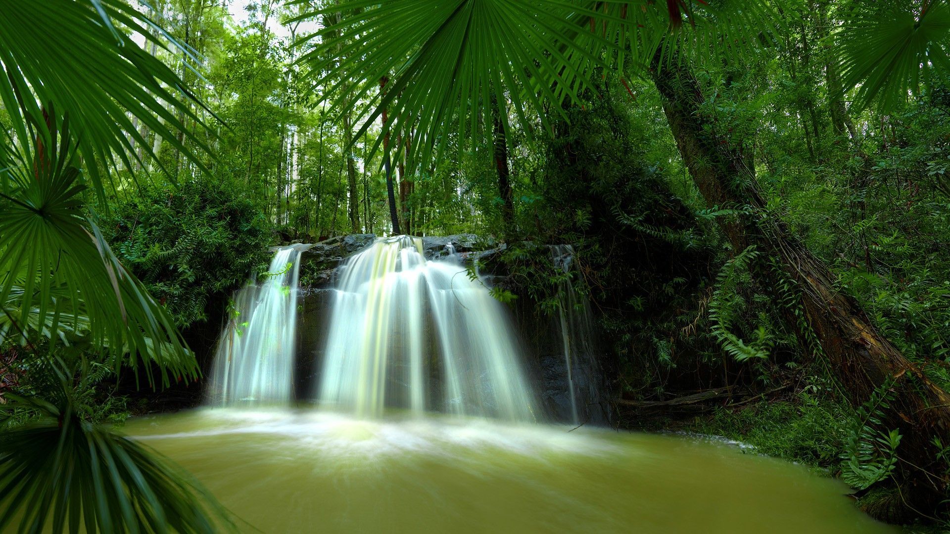 1920x1080 Free download Nature Australia Wallpaper 1920x1080 Nature Australia Waterfalls [1920x1080] for your Desktop, Mobile & Tablet. Explore Nature Wallpaper 1920x1080x1080 Wallpaper Nature, 1920x1080 Nature Wallpaper, 3D 1920x1080 HD Nature